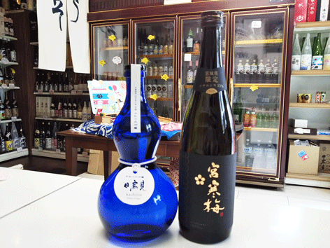 春本番を彩る限定酒コンビです☆